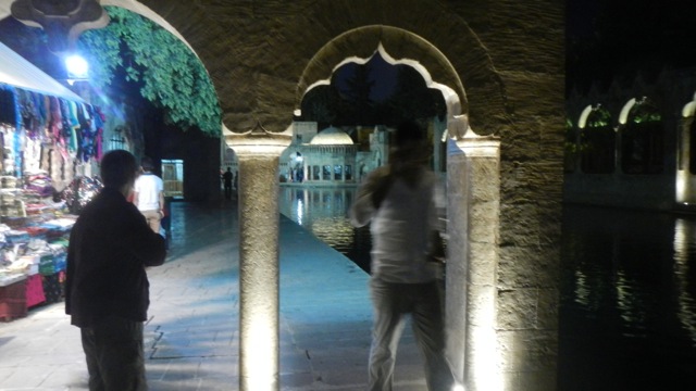DSCN4181