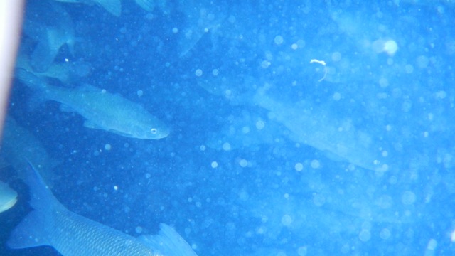 DSCN4194