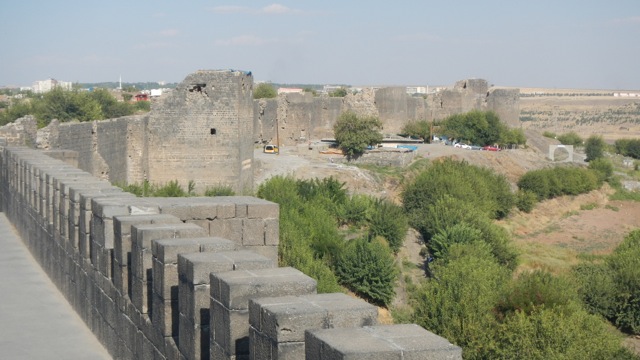 DSCN4302