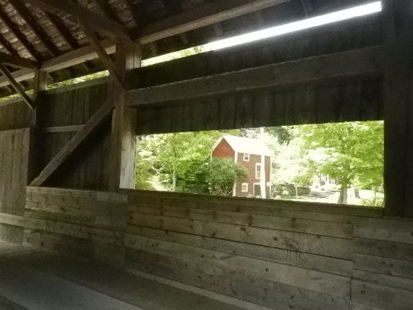 DSCN5898