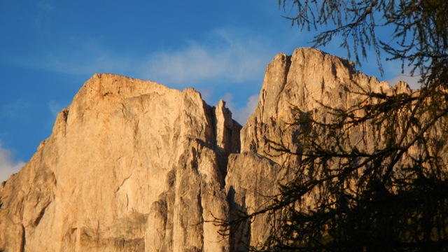 DSCN3696