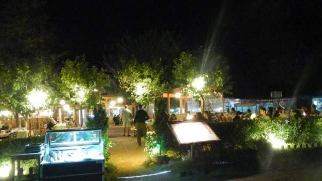DSCN4811
